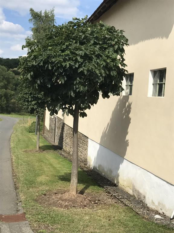 Ferienwohnung Schloessershof Borler Eksteriør bilde
